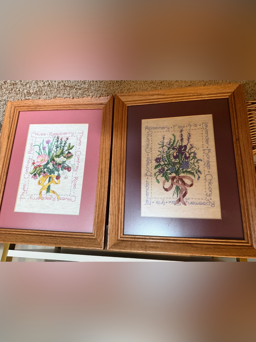 Vintage Botanical Cross Stitch Framed Wall Art Pair Herb Sampler Cottagecore